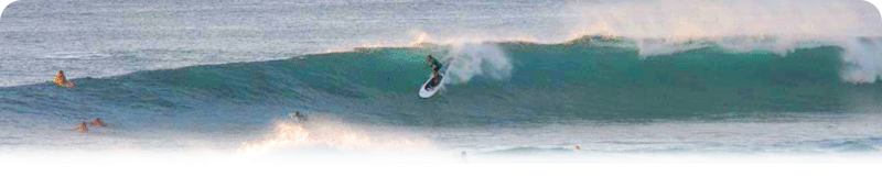 Everpaddle Stand Up Paddle Boards