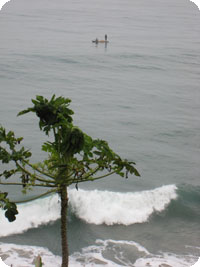 India Paddle Boarder